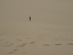 Dune Cape reinga